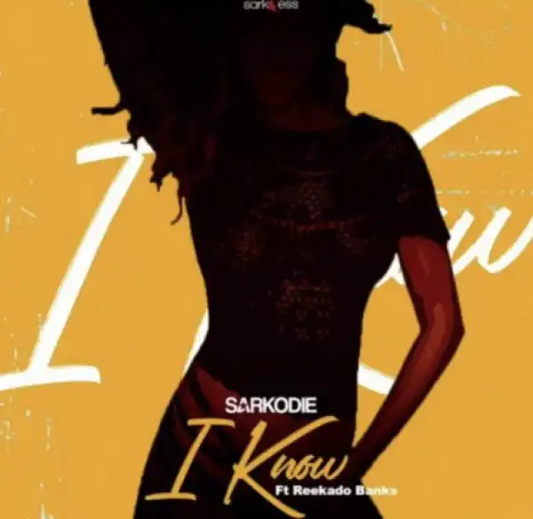 Instrumental: Sarkodie - I Know ft Reekado banks